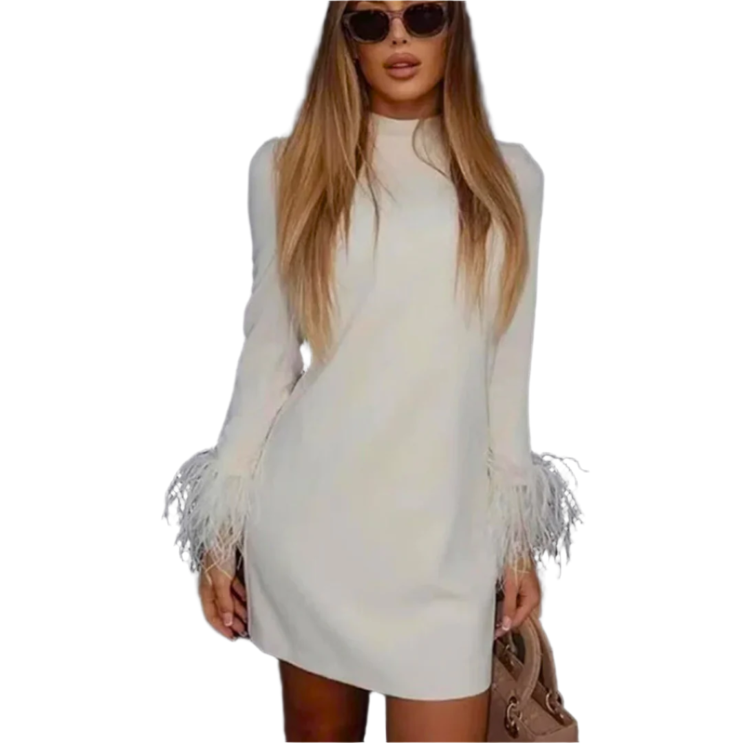 Minikleid mit Federn für den Abend