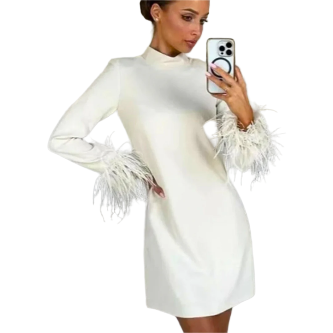 Minikleid mit Federn für den Abend